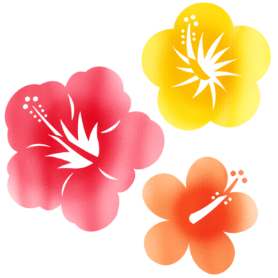 bpt@@߂ẴvǑ@Βk